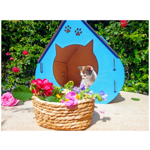ahşap kedi evi xl büyük boy mavi